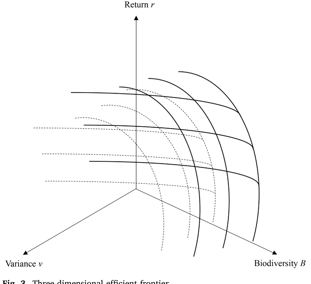 Figure 3: Three-dimensional efficient frontier