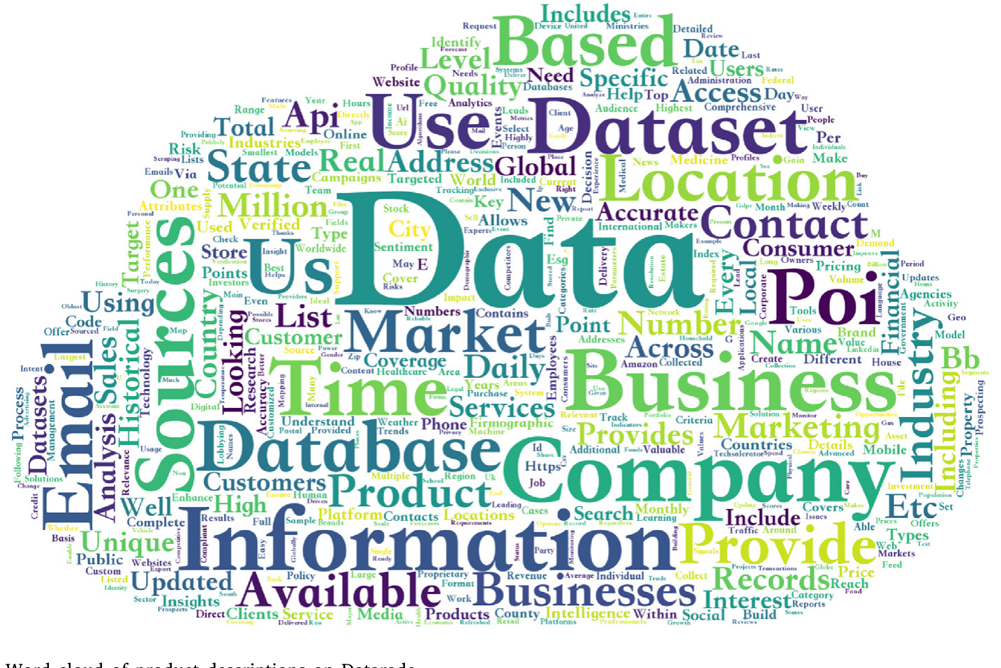 Figure 4: Word cloud of product descriptions on Datarade