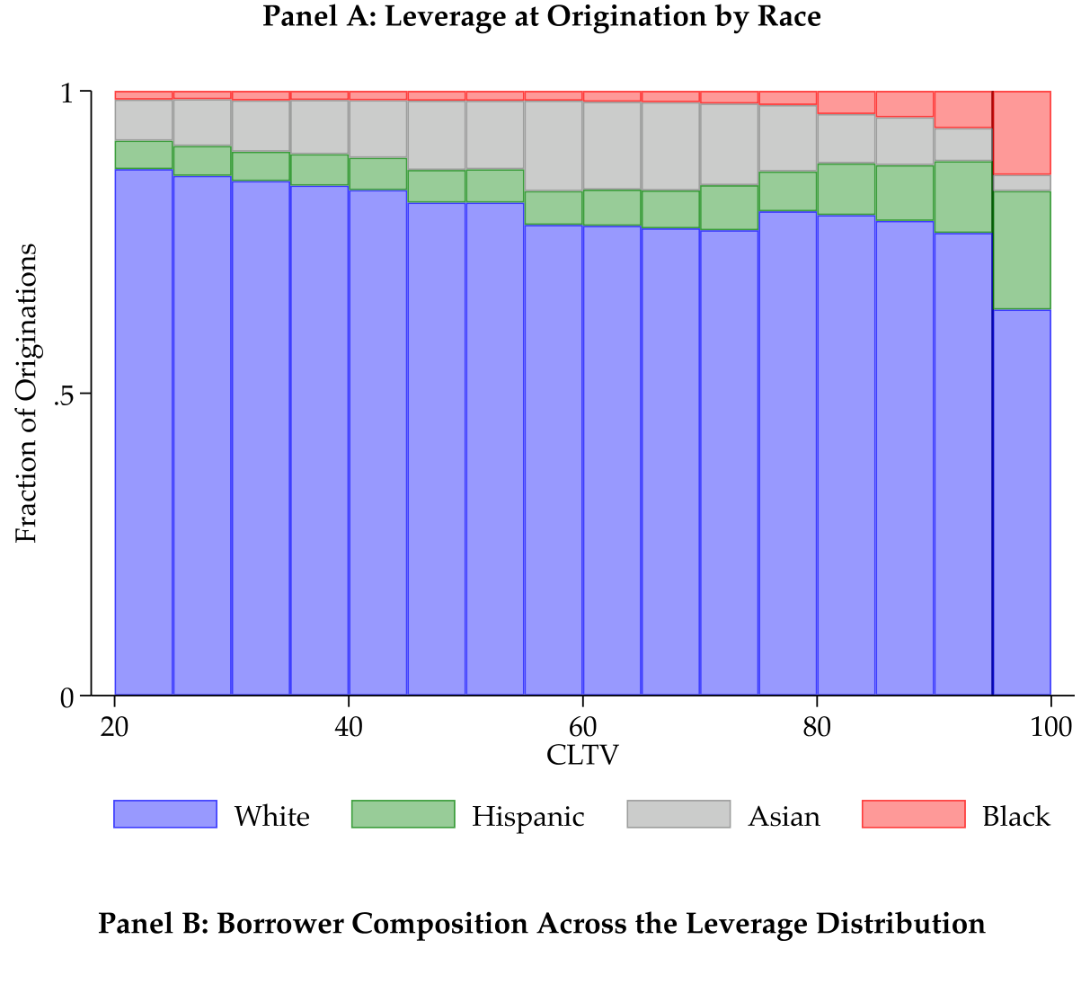 Figure 1: The Black–white leverage gap