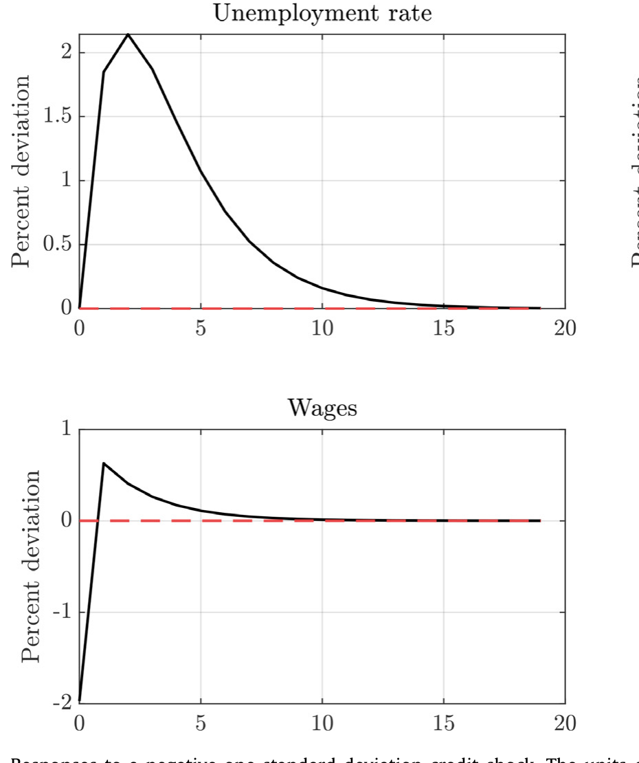 Figure 2: Responses to a negative one standard deviation credit shock. The units