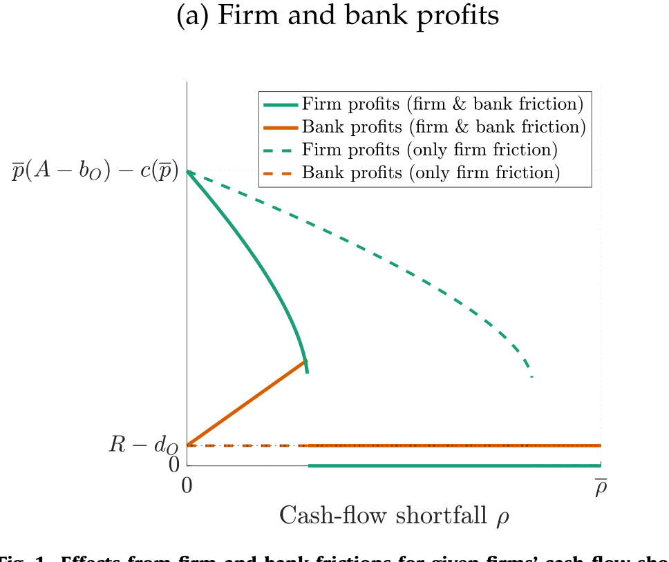 Figure 1: Effects from firm and bank frictions for given firms’ cash-flow