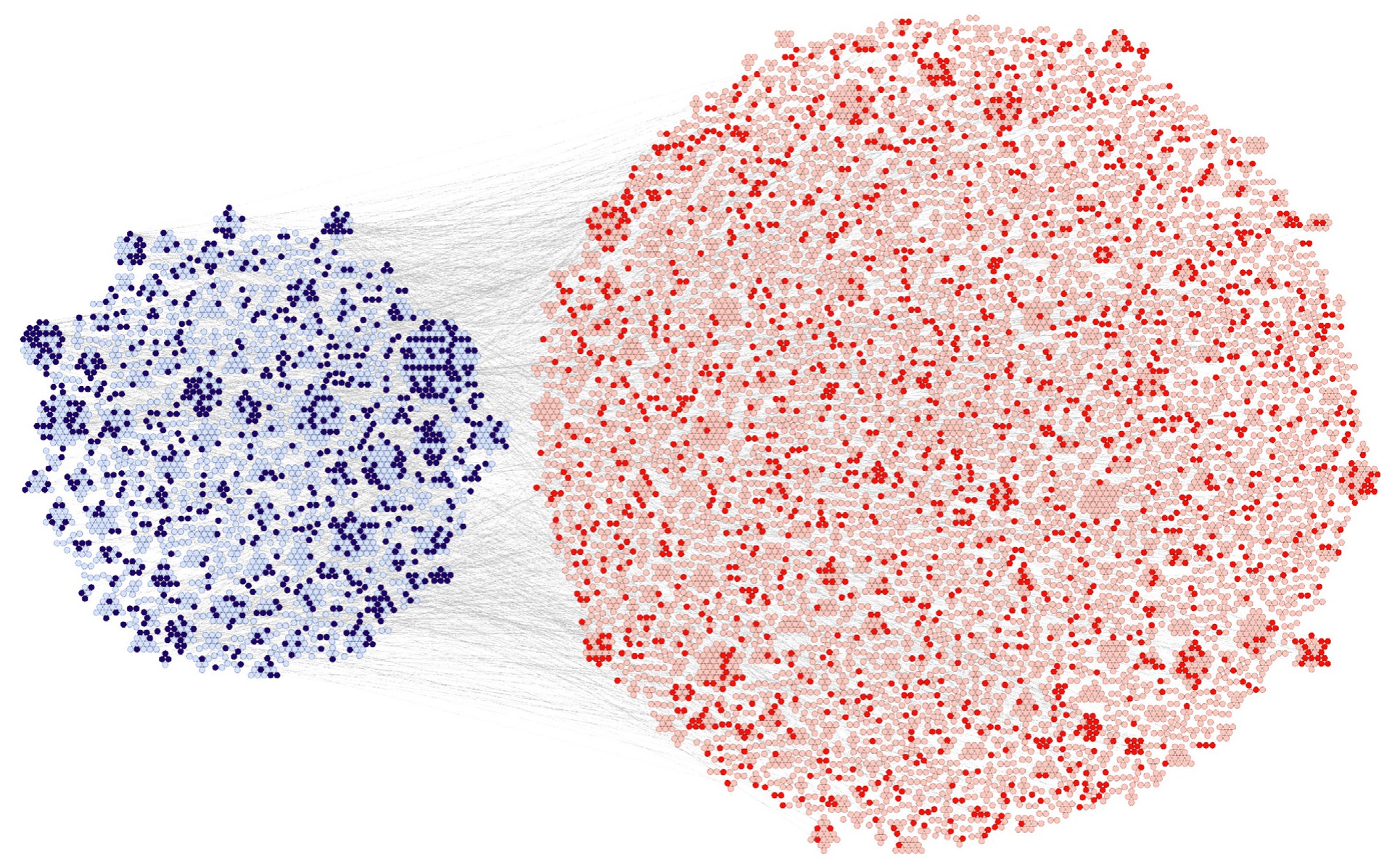Figure 3: Network of tradable friendships between fund managers and firm officers