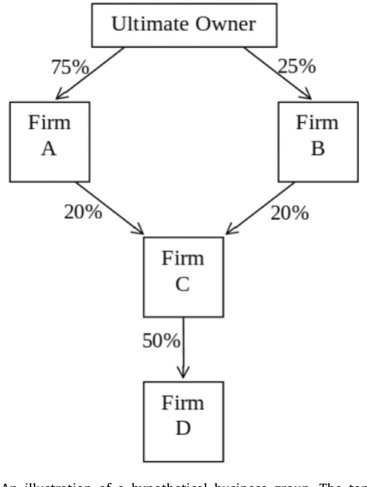 Figure 1: An illustration of a hypothetical business group. The top box is